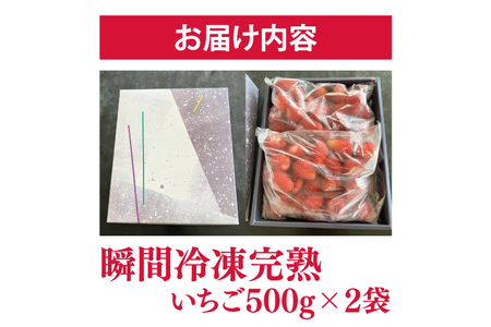 瞬間冷凍完熟いちご 500g×2袋｜いちご イチゴ 苺 冷凍イチゴ 冷凍いちご 冷凍 冷凍フルーツ 完熟 フルーツ 果物 くだもの デザート おやつ スムージー ジャム 数量限定(S-9-1)
