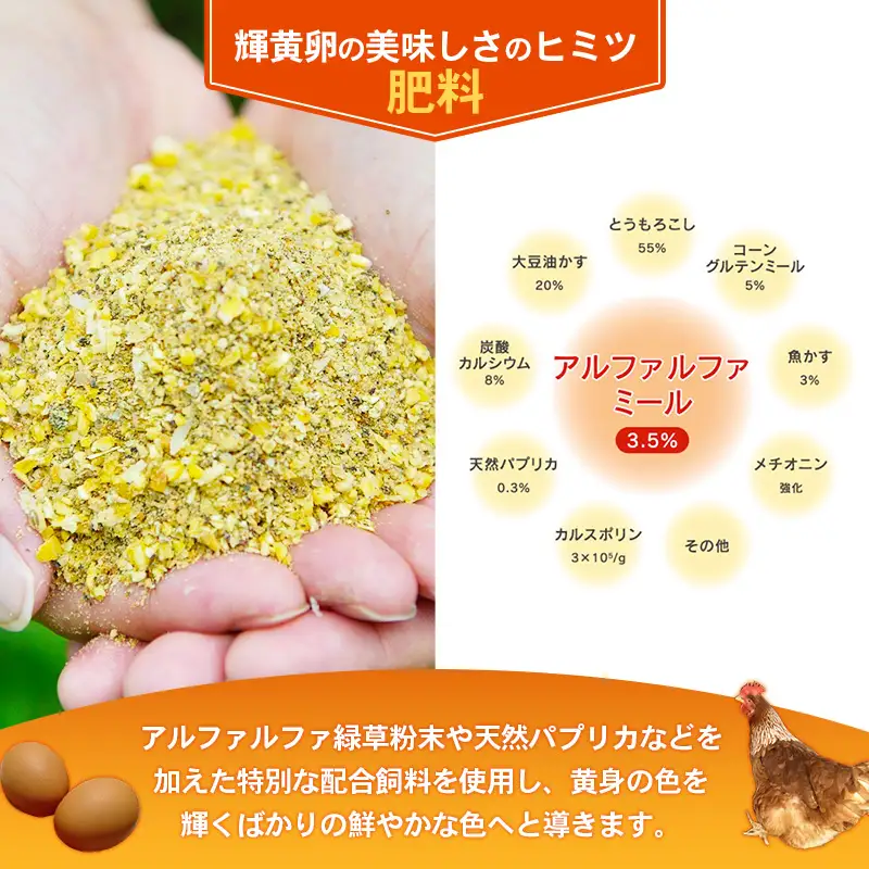 ヒラノのたまご 輝黄卵（きおうらん）72個（6個入り×12パック） 【 卵 たまご タマゴ 国産 新鮮 直送 輝黄卵 きおうらん 朝ごはん 卵かけごはん 福岡県 筑前町 AJ006】