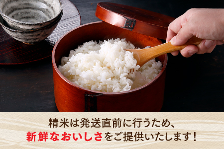BD042.【期間限定】立花山で育てた九州のブランド米・味くらべセット（9キロ）