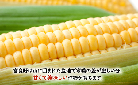 【2026年夏発送】 とうもろこし 食べ比べ 富良野産とうもろこし 黄6本・白6本セット 北海道 富良野 ふらの コーン とうきび トウモロコシ ホワイトコーン 野菜 甘い