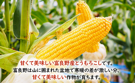 【2026年夏発送】  とうもろこし 富良野産 旬のとうもろこし(黄色) 12本入 北海道 富良野 ふらの コーン とうきび トウモロコシ 野菜 甘い