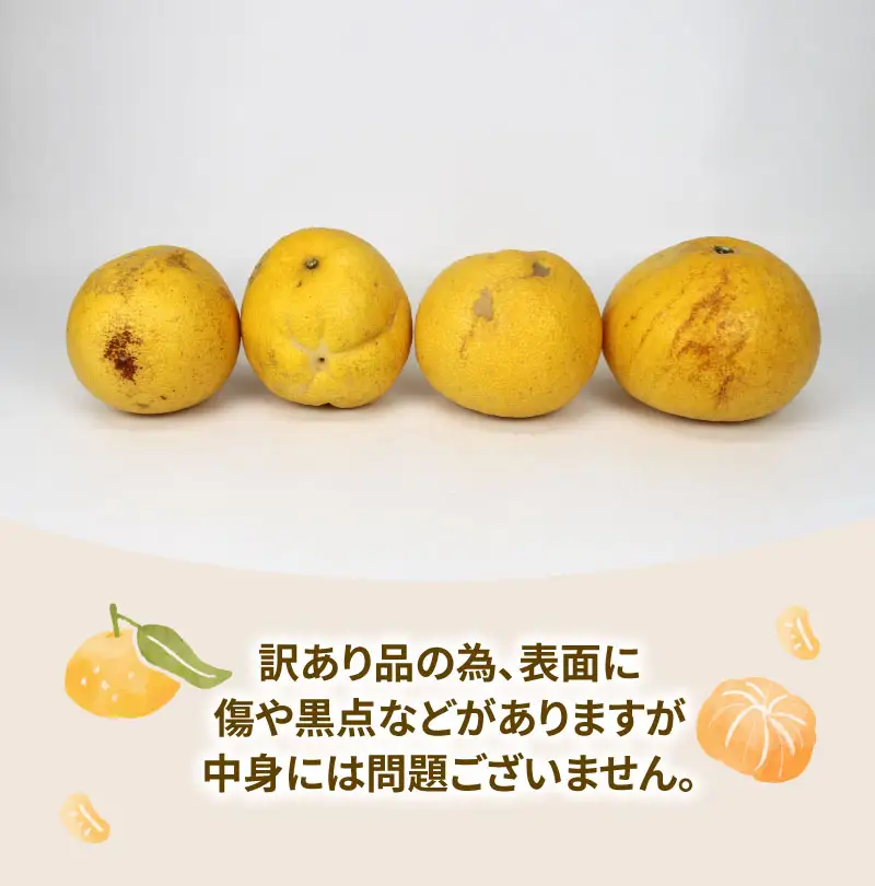 土佐文旦 訳あり 8kg ワールドファーマーズ 文旦 B010-024024