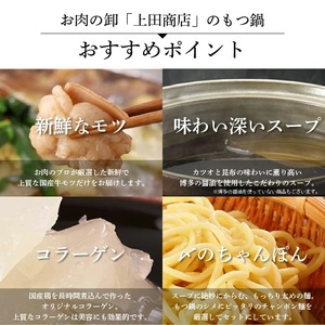 B459.《肉屋厳選“国産牛もつ鍋”》博多もつ鍋セット（辛みそ）5人前【もつ鍋・味噌味】