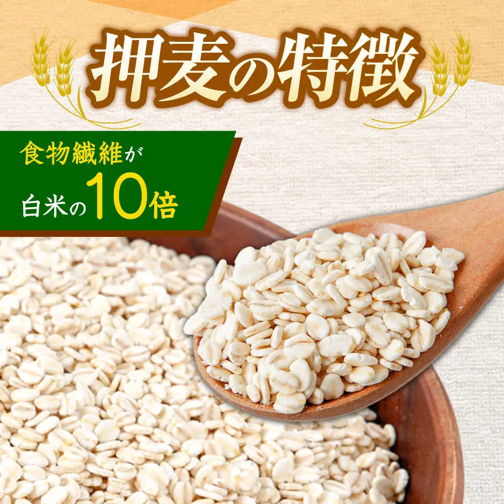 押麦「長崎御島」 1kg×10袋 計10kg / 麦 むぎ 押麦 はだか麦 麦味噌 雑穀 雑穀米 食物繊維 長崎県産 米 こめ コメ ※ / 諫早市 / 有限会社伊東精麦 [AHBU009]