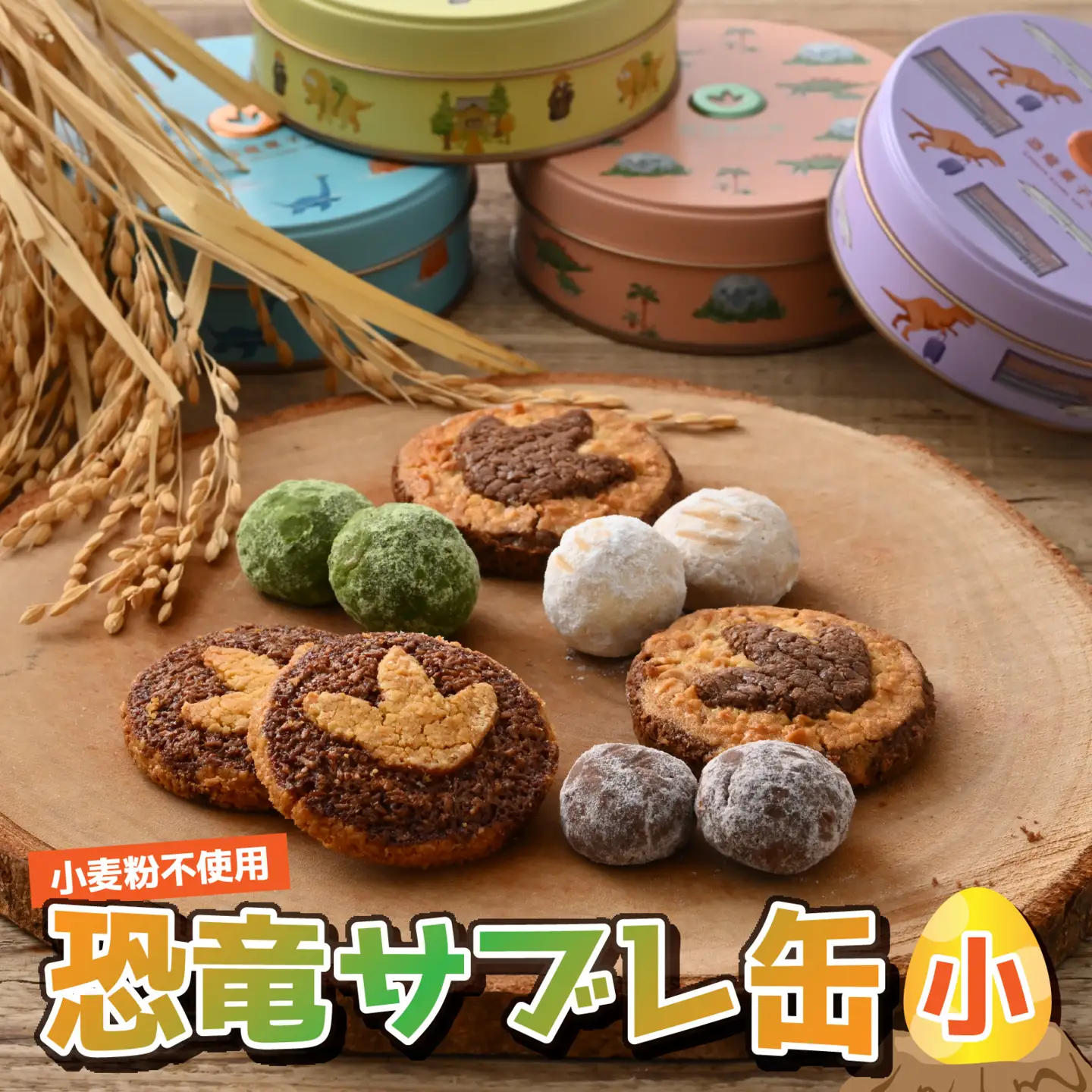 恐竜サブレ缶（小）【永平寺トリケラ缶】[A-135005_02] / クッキー クッキー