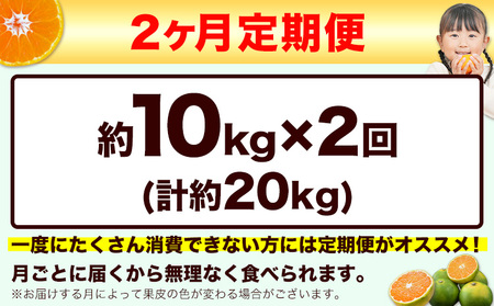 【先行予約】【2ヶ月定期便】訳あり みかん ひとくちもぎたてみかん 約 10kg (10kg×1箱)  S-3Sサイズ 訳あり S SS 3S ご家庭用 20kg 熊本県産 （荒尾市産含む） 小玉みかん 訳ありみかん ご家庭用みかん フルーツみかん 熊本みかん ちょっと訳あり 期間限定 フルーツ 秋 旬 柑橘 小玉 みかん 温州みかん《10月上旬-11月末頃出荷》 美味しいみかん 旬のみかん ジューシーみかん フルーツみかん 
