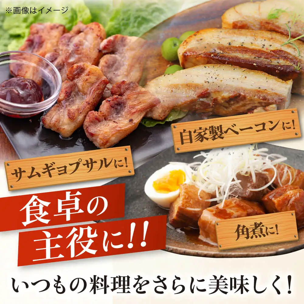 平田牧場 バラ ブロック 600g  焼肉 バラ 豚肉 冷凍 家族 [AJAP072]