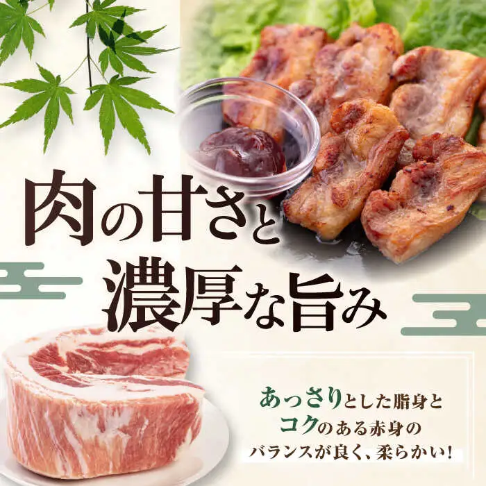 平田牧場 バラ ブロック1.2kg (600g×2P)  バラ 豚肉 国産 北海道 [AJAP073]