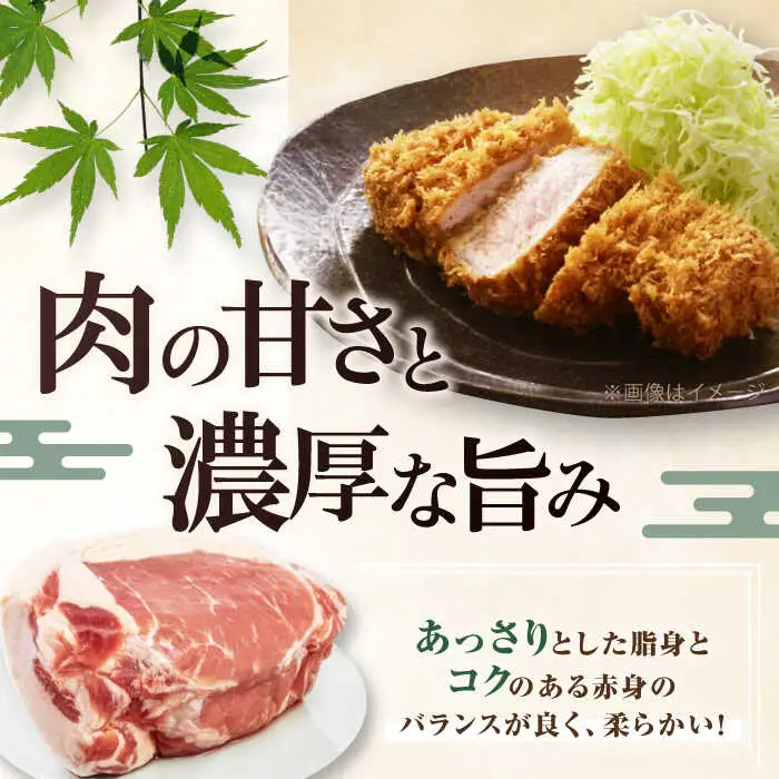 【全2回定期便】平田牧場 ロース ブロック 1.2kg (600g×2P) 豚肉 ローストポーク 煮豚 [AJAP098]