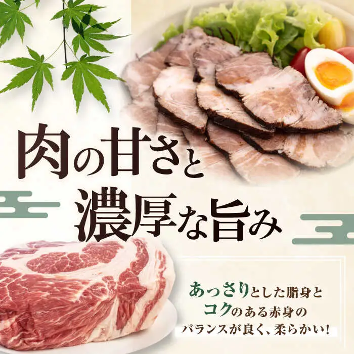 【全6回定期便】平田牧場 肩ロース ブロック 600g 豚肉 煮豚 [AJAP112]