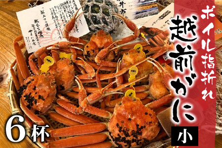 【11月発送】【先行予約】【訳あり】茹で越前がに（小）6杯 やまに仕込み [H-4302_11] 