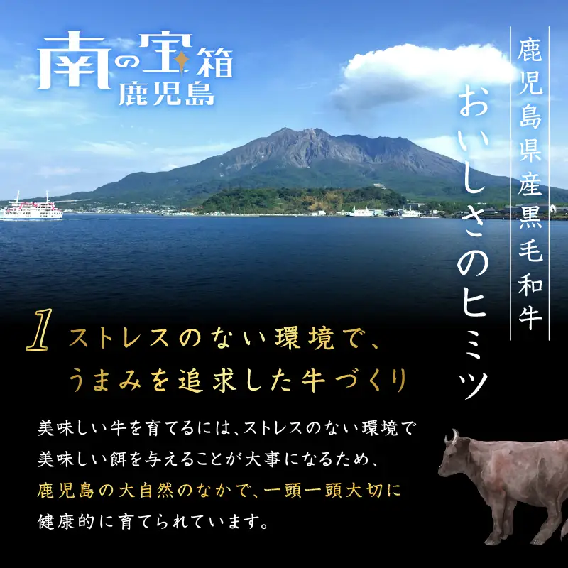 鹿児島県産 黒毛和牛スライス（ブリスケット）500g K151-001 肉 牛肉 冷凍