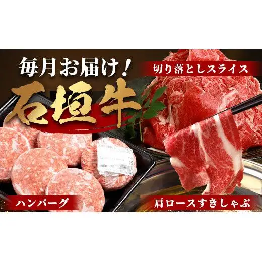 【全3回 定期便C】 石垣牛　切り落としスライス・ハンバーグ・肩ロースすきしゃぶ　計3.1kg（いしなぎ屋）　AB-31