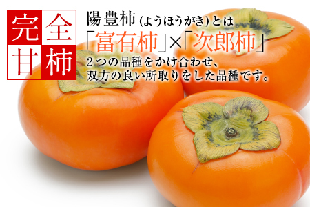 ＜期間・数量限定＞石村果樹園の『陽豊柿(ようほうがき)』計4kg以上 宮崎県新富町産 くだもの デザート【B624-26】