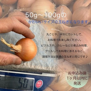 たまねぎ 10kg かわいい玉ねぎ かたもとオーガニックファーム