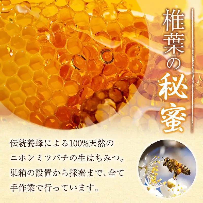 宮崎県産 はちみつ 「椎葉の秘蜜」 大 250g瓶 1個