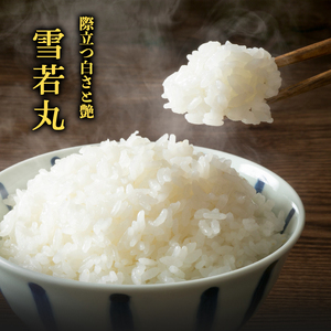 【10営業日以内発送】令和7年産 雪若丸 無洗米 5kg 2025年産 山形県産　018-C-SR007