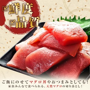 【ふるなびWEEK対象】天然マグロ切り落とし 1kg 刺身 海鮮【天然マグロ切り落とし】FN-Limited-WE