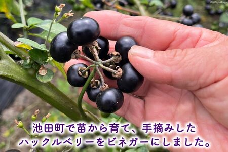 アルプスハックルベリービネガー 500cc 1本