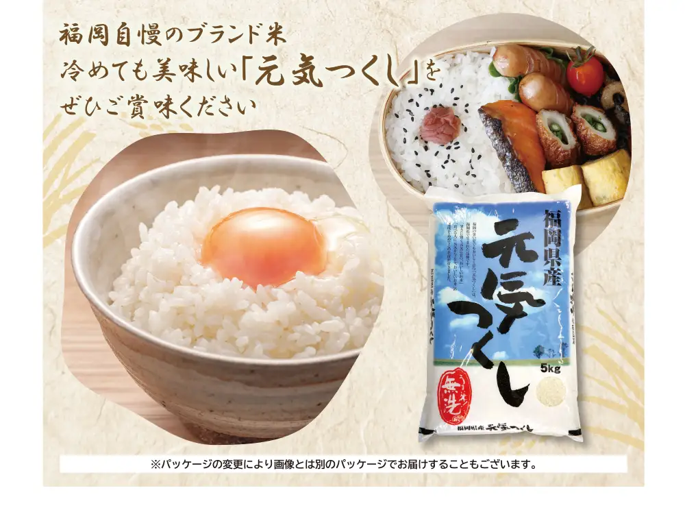Z17-21 令和7年産 無洗米 元気つくし5kg