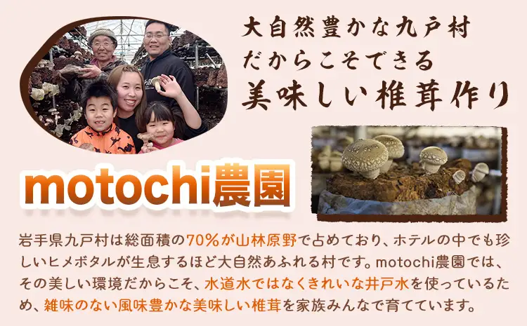 訳あり 菌床 椎茸 1kg (サイズ未選別・不揃い) motochi農園 岩手県九戸村