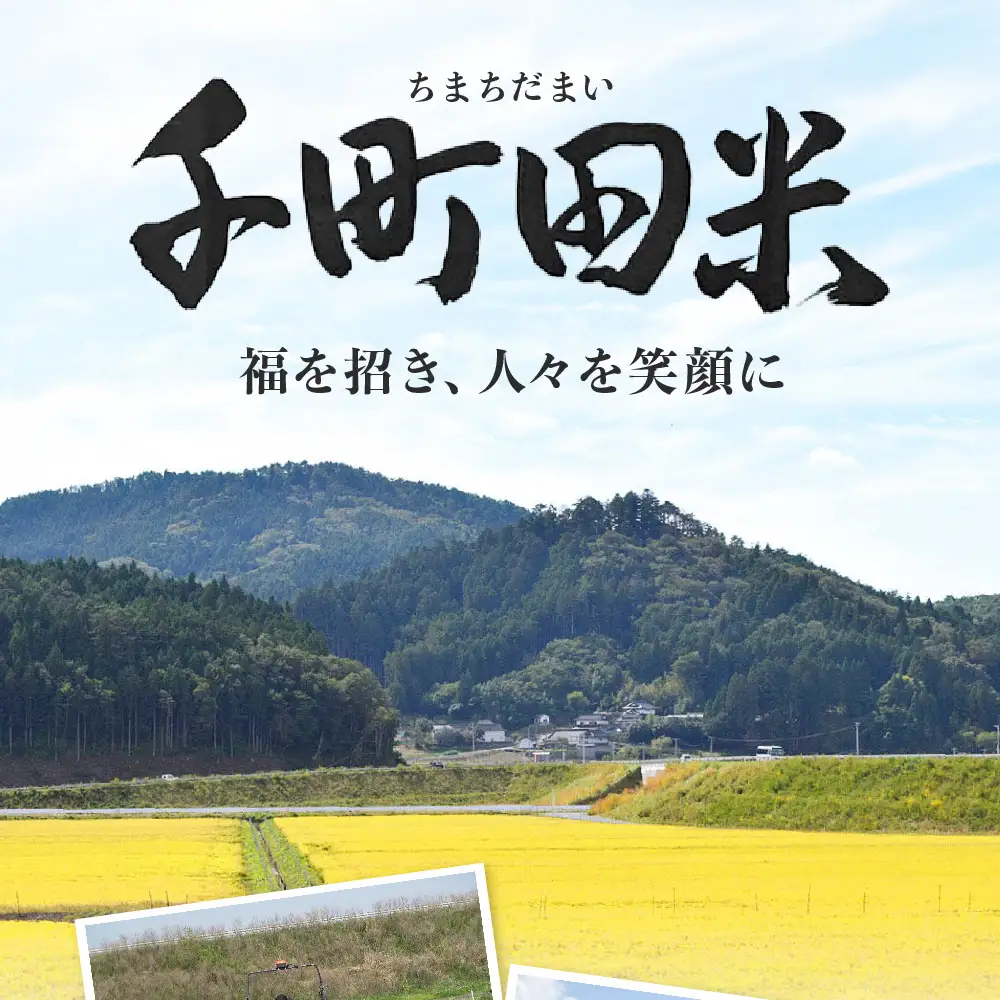【令和8年産】ひとめぼれ 白米5kg 布袋様袋の千町田米 ひとめぼれ