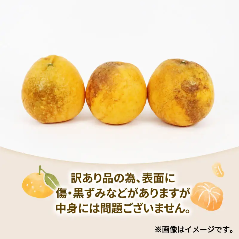 愛媛みかん 訳あり 河内晩柑 約 4kg 甘夏 約 4kg セット ワールドファーマーズ わけあり 先行予約 かわちばんかん あまなつ 愛媛蜜柑 愛媛ミカン 訳あり品 みかん mikan 果物 くだもの フルーツ 柑橘 蜜柑 産地直送 数量限定 愛媛県 国産 宇和島 B010-024027