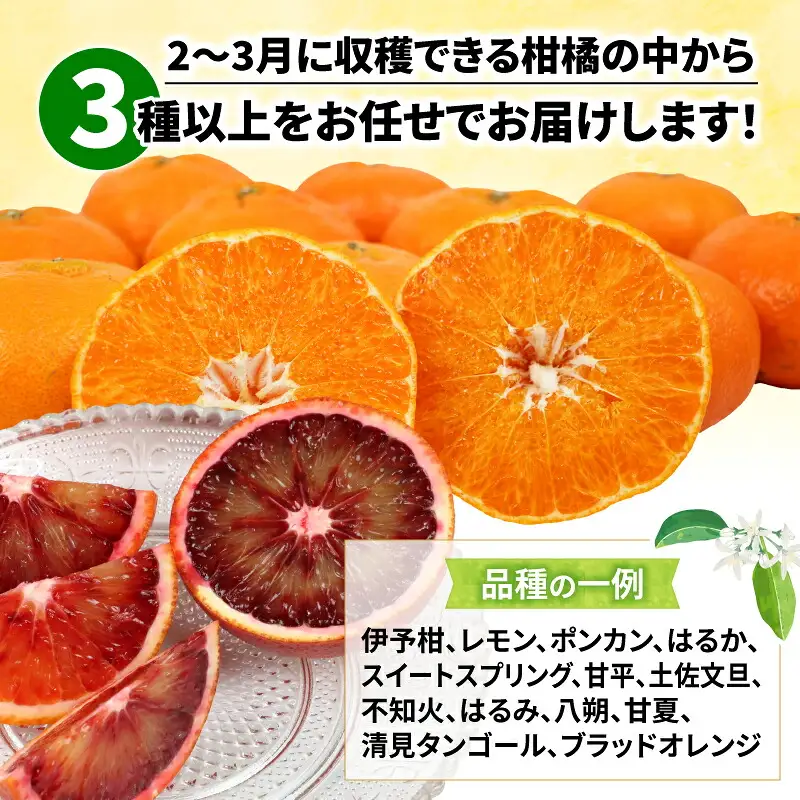 愛媛みかん 訳あり 柑橘 詰め合わせ セット 5kg ワールドファーマーズ わけあり 先行予約 愛媛蜜柑 愛媛ミカン 訳アリ 訳あり品 訳有り わけあり みかん mikan 果物 くだもの フルーツ 柑橘 蜜柑 産地直送 数量限定 愛媛 国産 宇和島 B010-024028