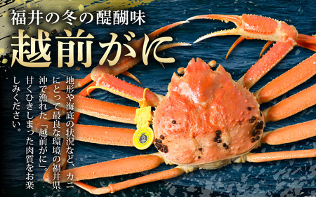 【先行予約】越前がに 約800g～900g × 1杯【2027年3月上旬以降順次発送予定】新鮮 越前がに [m36-x003_03]