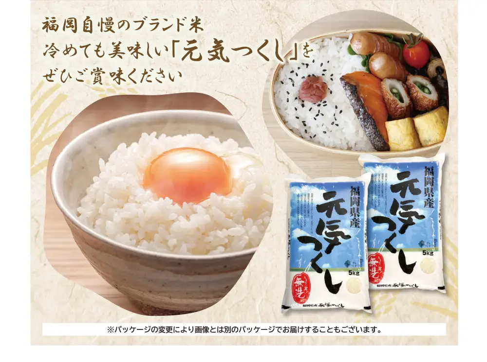 Z17-22 令和7年産 無洗米 元気つくし10kg