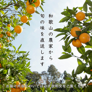 季節の柑橘定期便A【全3回】【和歌山県有田】_ZH7021
