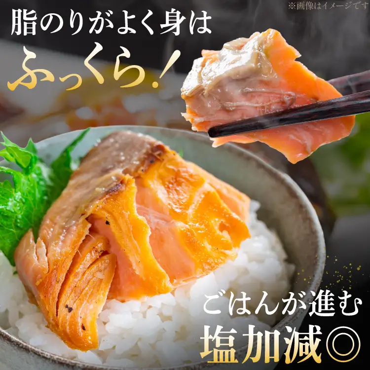 訳あり 銀鮭 切身 約1kg  サケ しゃけ 魚 鮭