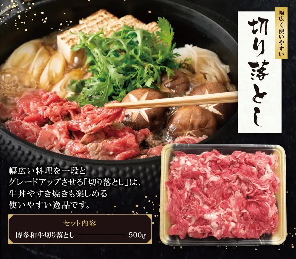 Z09-01 博多和牛 切り落とし500g 牛肉 