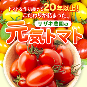 【 定期便 2回 】ミニトマト アイコ 約3kg | サザキ農園