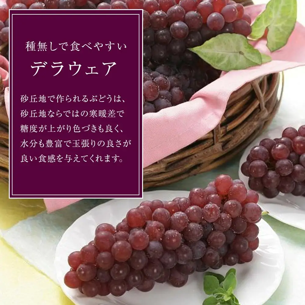 ＜先行予約＞【2027年7月上旬～発送】種無し デラウエア 2kg（8～12房）ぶどう 葡萄