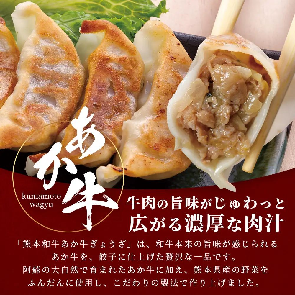 【餃子】熊本和牛 あか牛 ぎょうざセット ≪熊本あか牛餃子20個入り×3箱 計60個≫ 046-0640