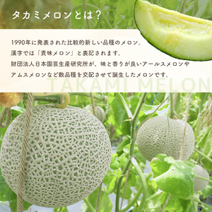 【2027年先行予約】真岡市産 タカミメロン 3L 1玉 化粧箱入り | メロン 果物 フルーツ 