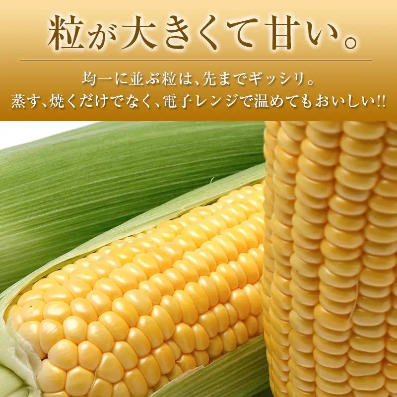 ＜2027年発送＞朝採れスイートコーン 計約4.5kg 宮崎県産