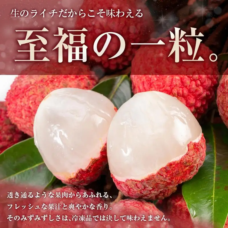 ＜2027年発送＞希少！宮崎県産 生ライチ 計約400g