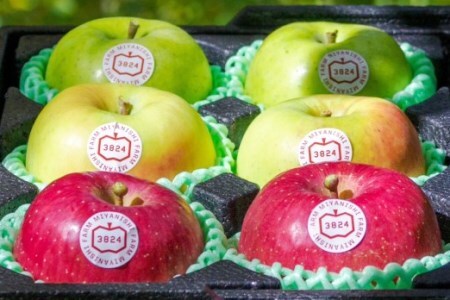 [贈答用] 名月×葉取らずふじ×王林【約2kg 各2玉入り 計6玉】贅沢りんご 3種セット｜令和8年 2026年 青森 リンゴ [0682]
