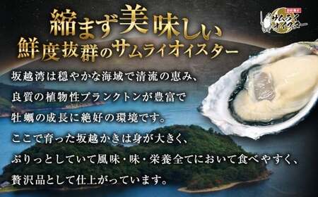 坂越かき むき身 約500g×1パック、殻付き 12個【ナイフなし】 牡蠣 カキ 海鮮 貝【2027年1月以降発送予定】