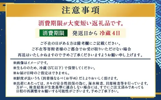 生食用 真牡蠣「ぷりみ」約1kg かき 牡蠣