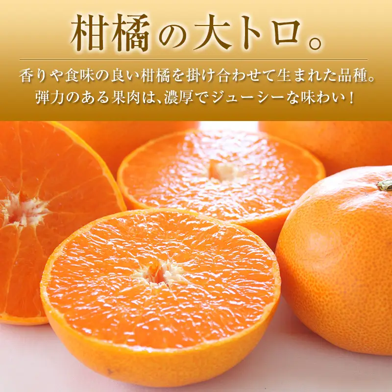 ＜2027年発送＞宮崎県産 せとか 約3kg （8～12玉入）
