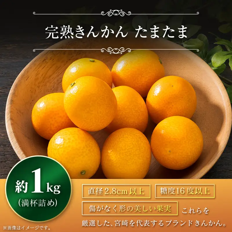 ＜2027年発送＞みやざきブランドセット（完熟きんかん たまたま・日向夏） 宮崎県産