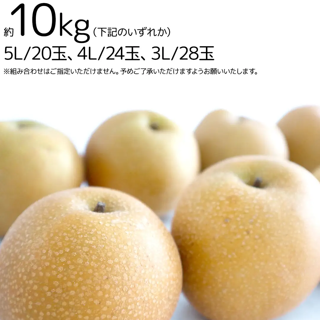 【 2026年9月上旬発送開始 】 豊水梨 約 10kg ( 茨城県共通返礼品 / 石岡市 ) 豊水 梨 フルーツ 果物 なし ナシ 新鮮 旬 期間限定 甘い 国産 [EY002sa]