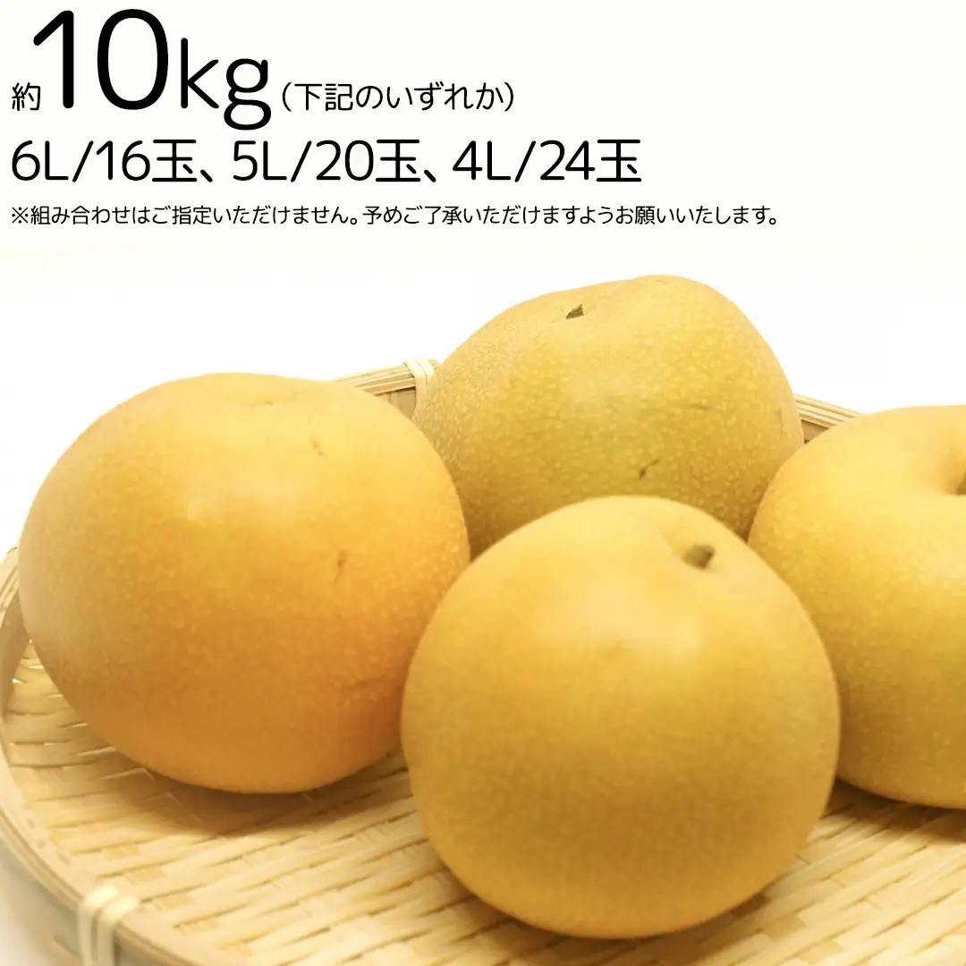【 2026年9月中旬発送開始 】 新高梨 約 10kg ( 茨城県共通返礼品 / 石岡市 ) 新高 梨 フルーツ 果物 なし ナシ 新鮮 旬 期間限定 甘い 国産 [EY003sa]