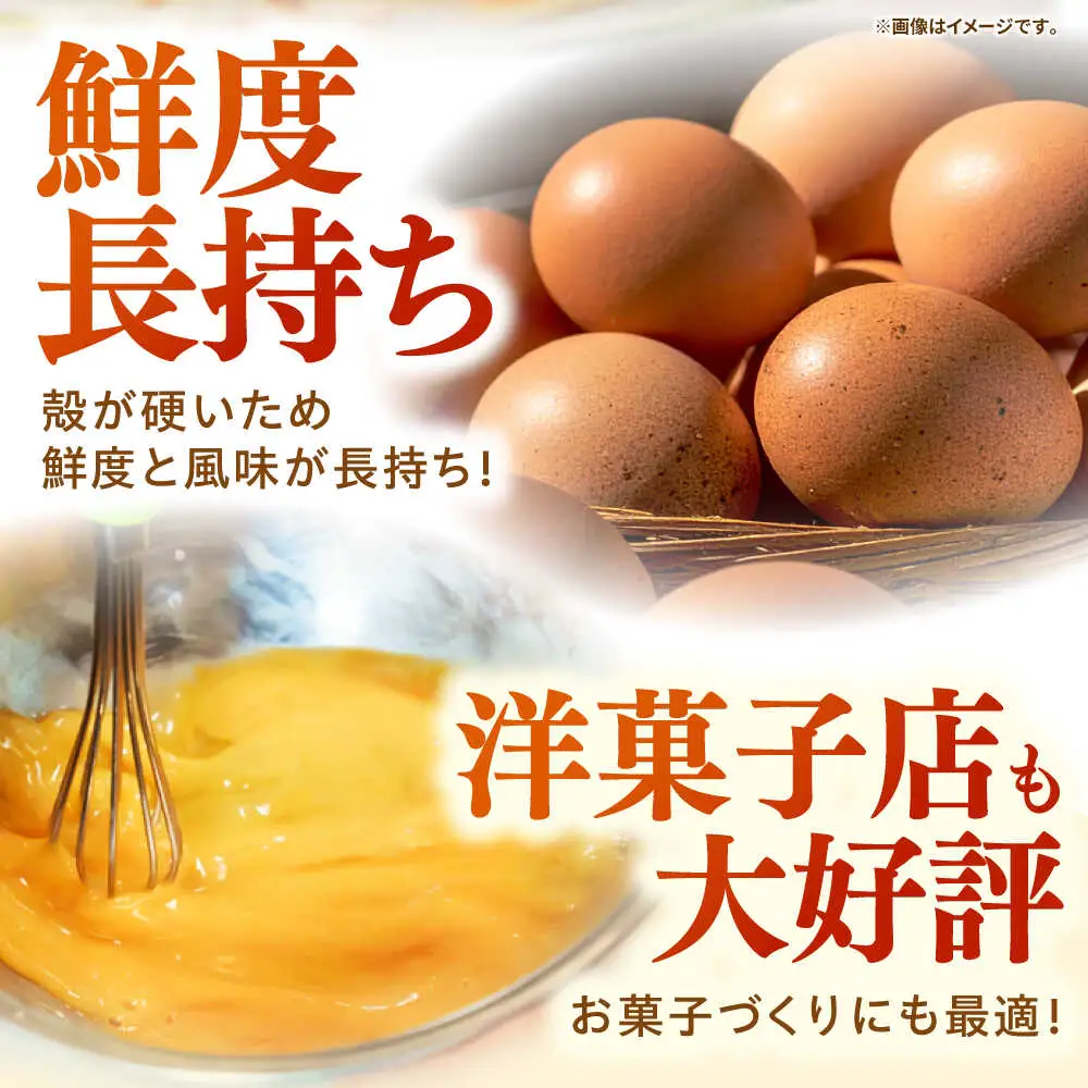 【全3回定期便】【特選卵】素直な恋たまご 30個 [JAP019]
