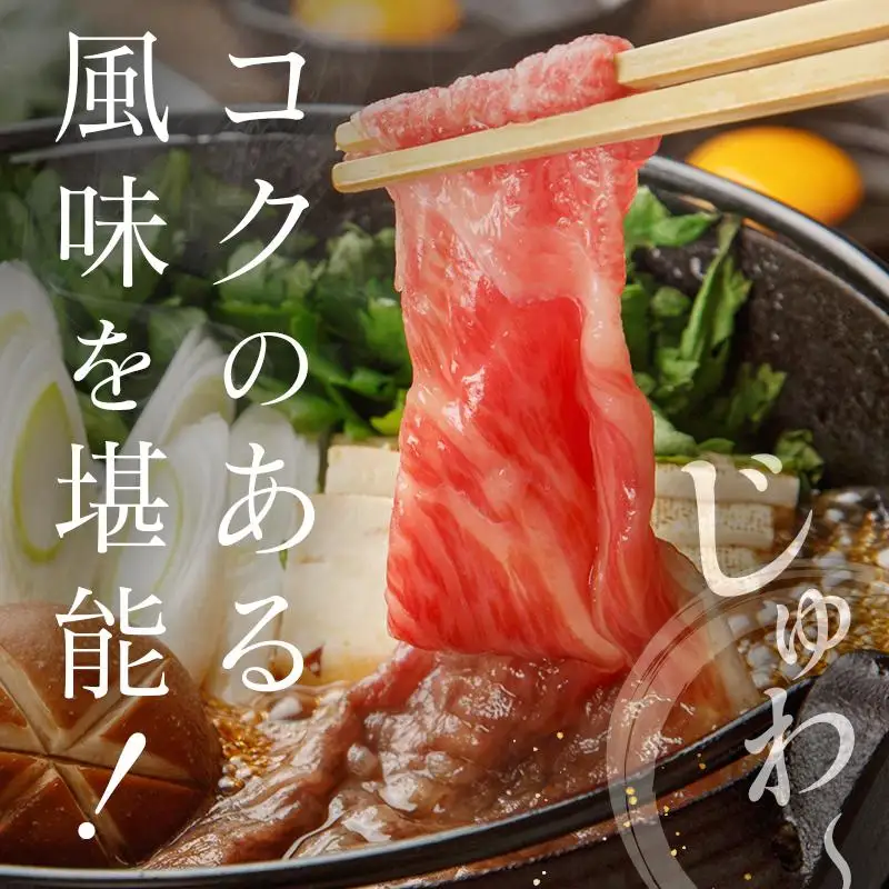 ◆宮崎牛モモスライス(500g)