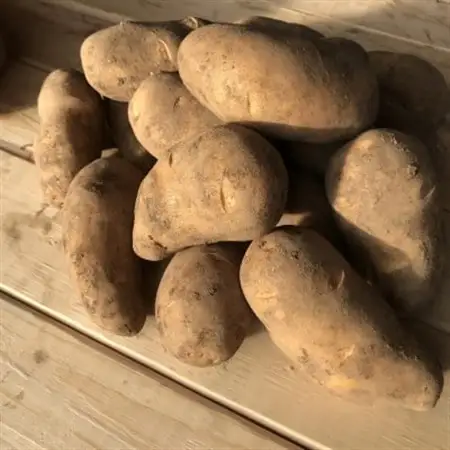じゃがいも ( メークイン ) 10kg 北海道十勝帯広産_野菜 じゃがいも いも ジャガイモ 馬鈴薯_【配送不可地域：離島】【1497193】