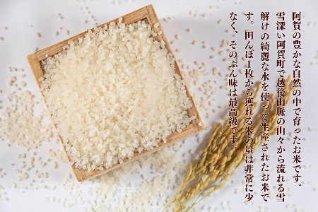 《新米》 米 10kg 新潟県産 コシヒカリ 「東蒲幻米」 令和8年産 特別栽培 奥阿賀 5kg×2袋  | 白米 精米 こしひかり 送料無料 お取り寄せ お米 最高金賞受賞 ※2026年10月中旬頃より順次発送
